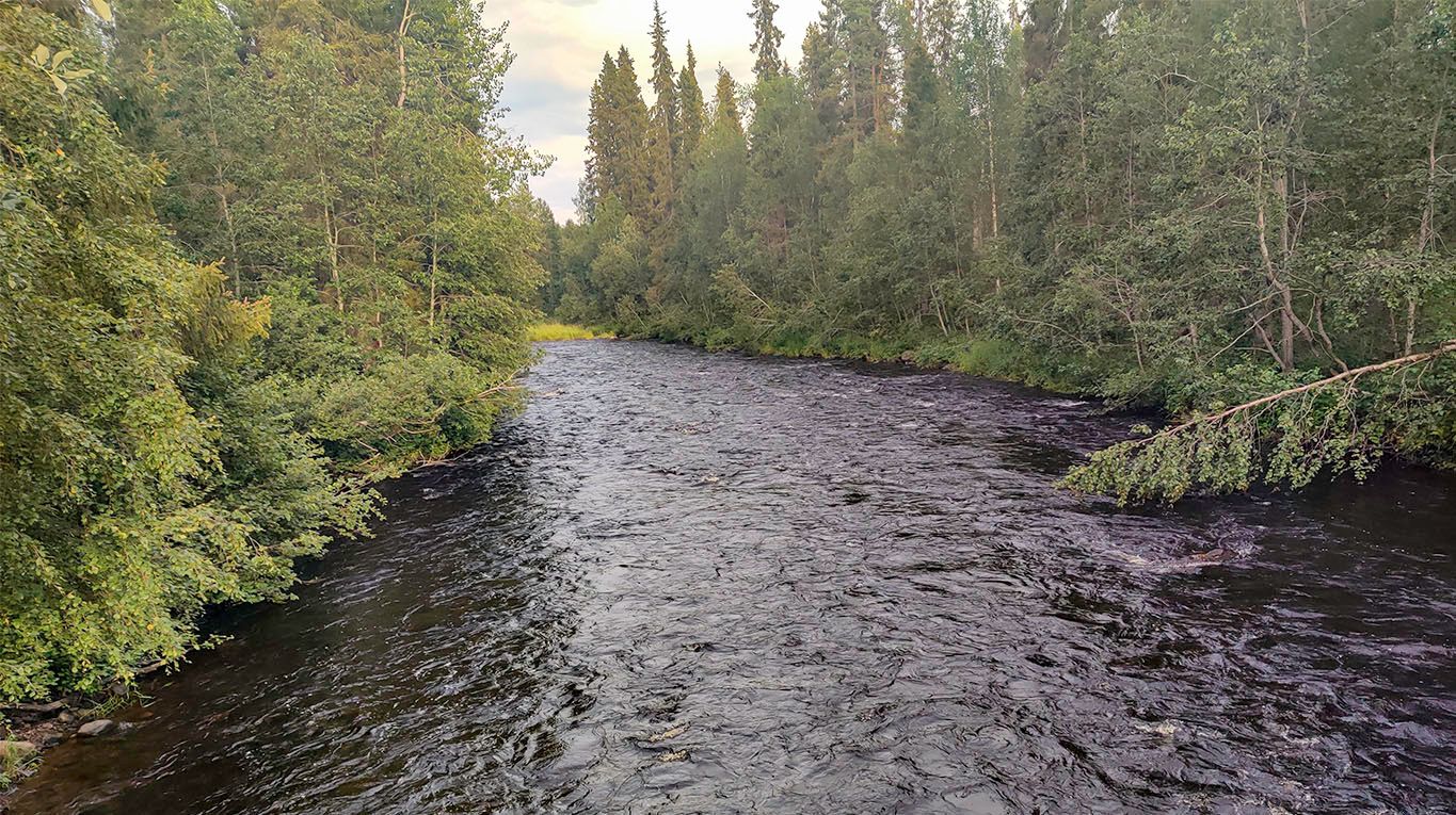 The rapidly flowing, wide Sarvisuvanto river, photo taken from the rope bridge.