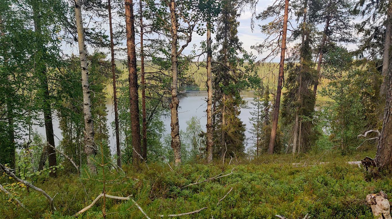 Karhunkierros trail, from Hautajärvi to Taivalköngäs, day 1
