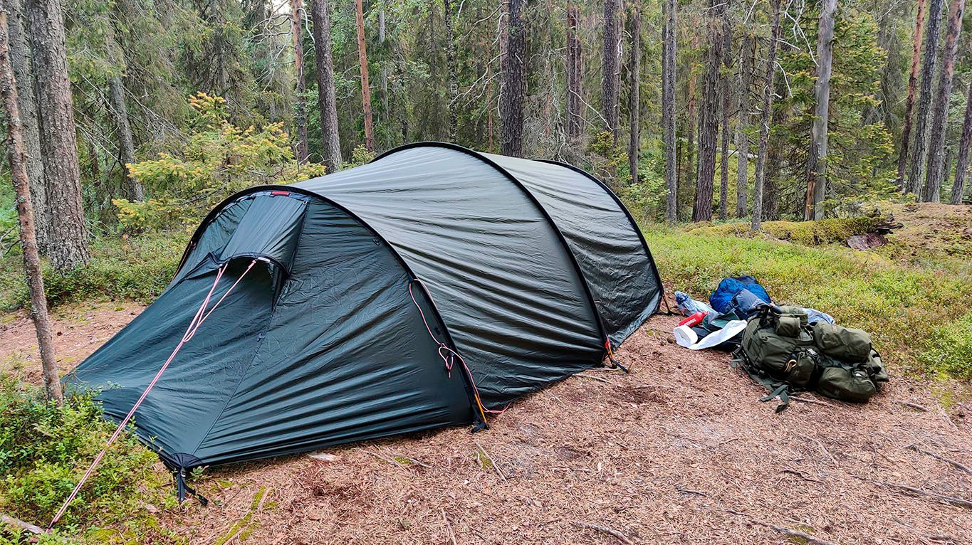 The 4 person green tent set-up, on plain forest floor with some protruding roots.
