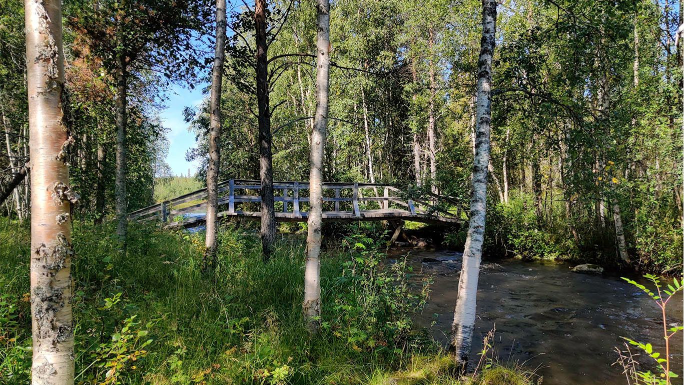 Lustily flowing, clear watered Koutajoki across which a wooden bridge lurches.