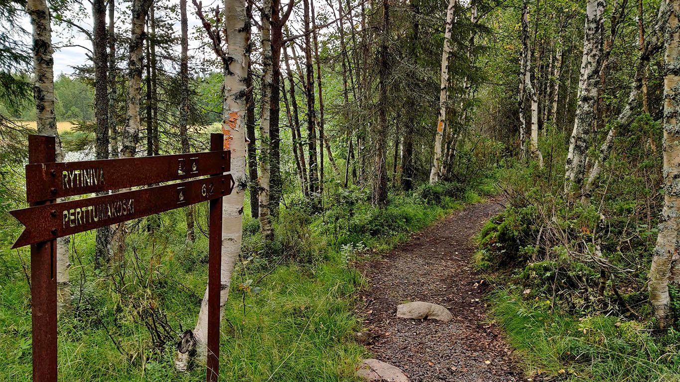 Metallic signpost noting current location as Rytiniva, and pointing the direction and distance to Perttulankoski lean-to.