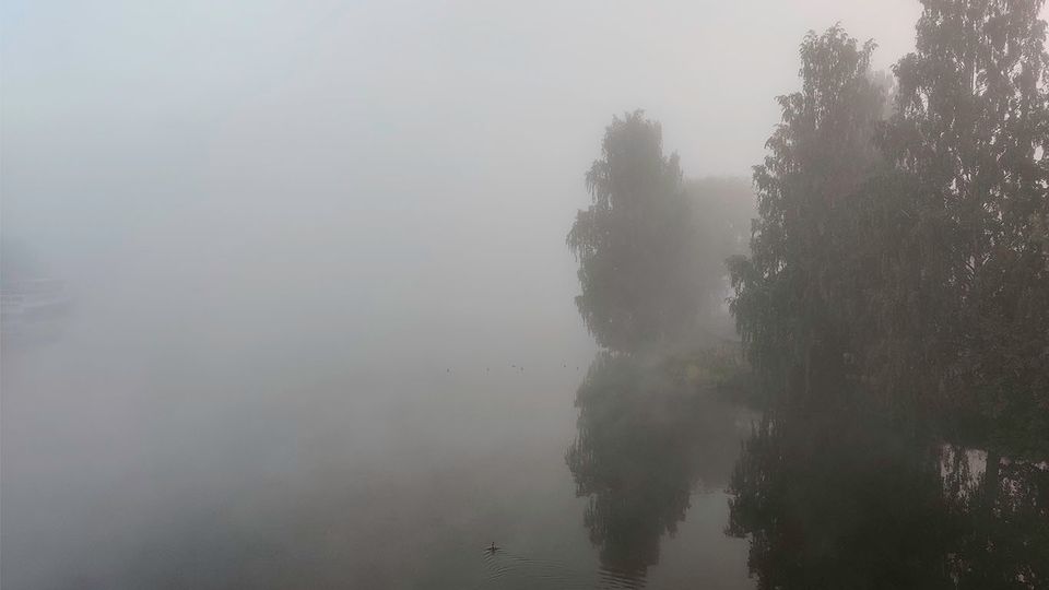 Deep wall of fog of fog paints everything gray and cuts visibility to 50m.